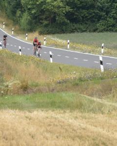 25-07-26-12-00-07-032-Hofheimer-Triathlon-26-07-2025