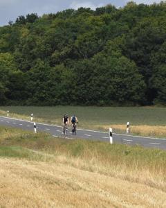 25-07-26-12-07-24-074-Hofheimer-Triathlon-26-07-2025