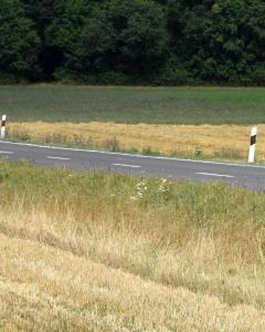 25-07-26-12-07-25-075-Hofheimer-Triathlon-26-07-2025