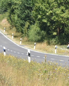 25-07-26-12-33-36-120-Hofheimer-Triathlon-26-07-2025