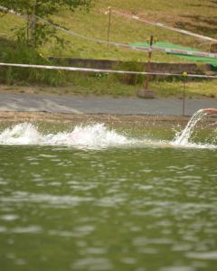25-07-26-11-00-56-HOH-Triathlon-2025-026