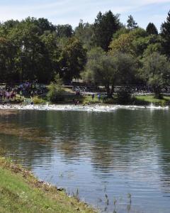 032-Hofheimer-Triathlon-25-07-2026