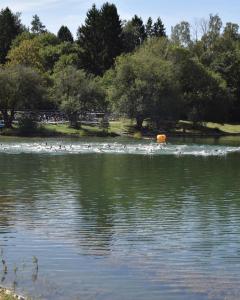 033-Hofheimer-Triathlon-25-07-2026