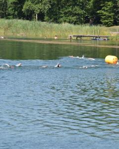 038-Hofheimer-Triathlon-25-07-2026